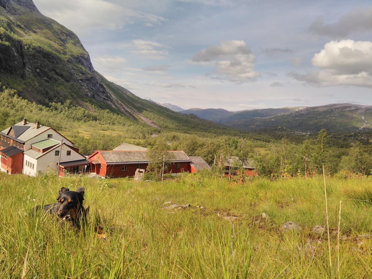 Voss Mountain Lodge Mjolfjell Kültér fotó
