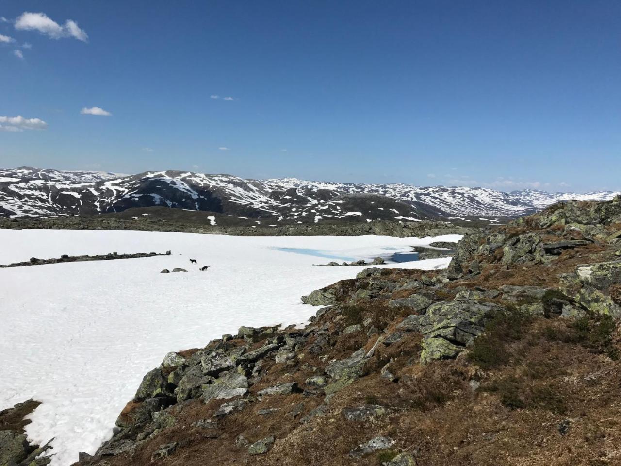 Voss Mountain Lodge Mjolfjell Kültér fotó